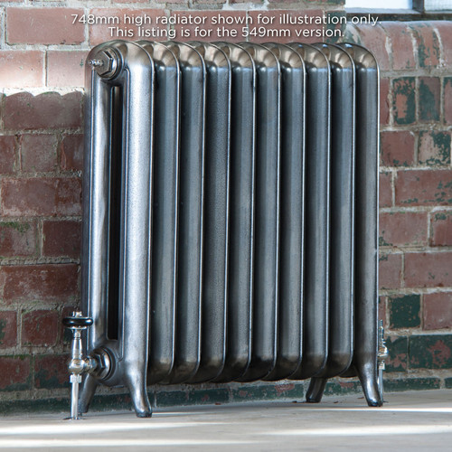 AR-RP560-2-LS00 - Arroll Princess 2 Column Cast Iron Radiator H549mm x W414mm