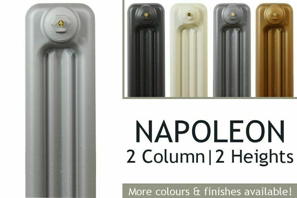 Napoleon 2 Column Narrow Cast Iron Radiators