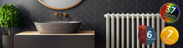 Georgian 6 Column Cast iron Radiator