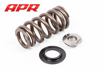 APR Valve Spring Kit, 20v 2.5 5cyl.