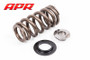 APR Valve Spring Kit, 24v V6 FSI