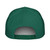 Kelly Green/White five-panel rope cap with braided bill detail with embroidered DAD logo, back view — DAD all caps