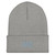 Heather Grey DAC cuffed knit beanie with embroidered DAC logo on cuff, front view — DAD all caps
