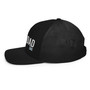 Gym DAD Trucker Cap