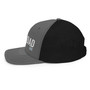 Run DAD Trucker Cap