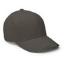 DAC Side Log Flex Fit Hat