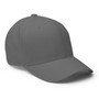 DAC Side Log Flex Fit Hat