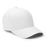 DAC Side Log Flex Fit Hat