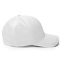 DAC Side Log Flex Fit Hat
