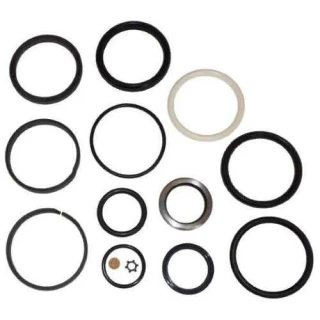 A set of replacement seals for the Allis-Chalmers external hydraulic lift arm cylinder, including various sizes of rubber and metal rings, arranged on a white background.