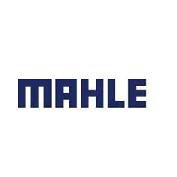 MAHLE MAHLE