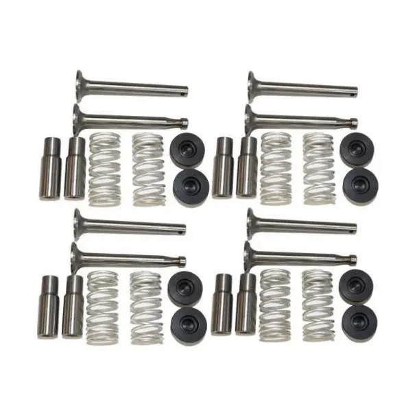 Allis-Chalmers Valve Train Kit for Allis Chalmers G and Massey Harris Pony, set of engine valve components including rocker arms, springs, and retainers.