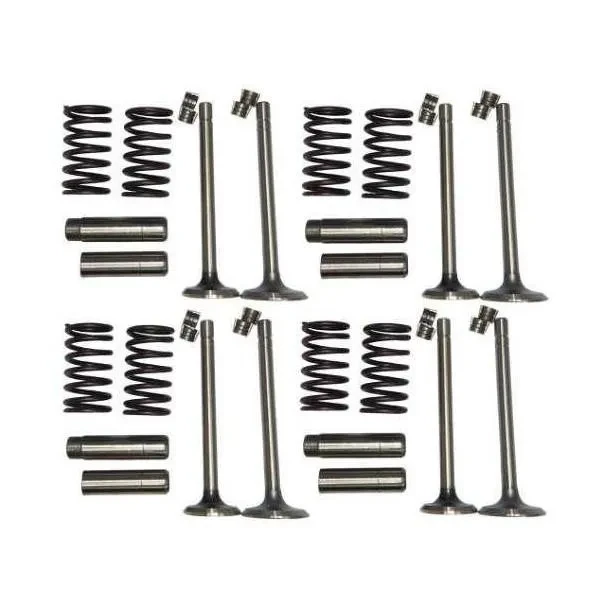 Allis-Chalmers Valve Train Kit for Allis Chalmers WC WD WD45 WF, includes valve springs, push rods, and rocker arm components.