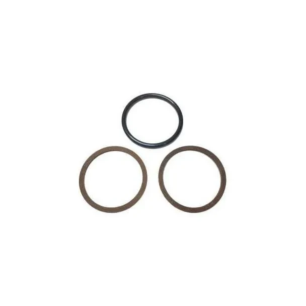 AGCO Allis Chalmers Lift Arm Seal Kit Assembly for D17, D19, image of seals and O-ring.