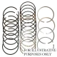 Allis-Chalmers Piston Ring Set 6-Cylinder Allis Chalmers WD45 Diesel 