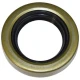Allis-Chalmers Allis Chalmers WD WD45 D17 170 175 180 185 Pinion Shaft Axle Oil Seal 218450 70218450 