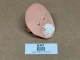 Allis Chalmers B IB C CA D10 D12 D17 D19 Clutch Cover Plate, used display image of a pinkish clutch cover plate with two metal protrusions on a brown background.