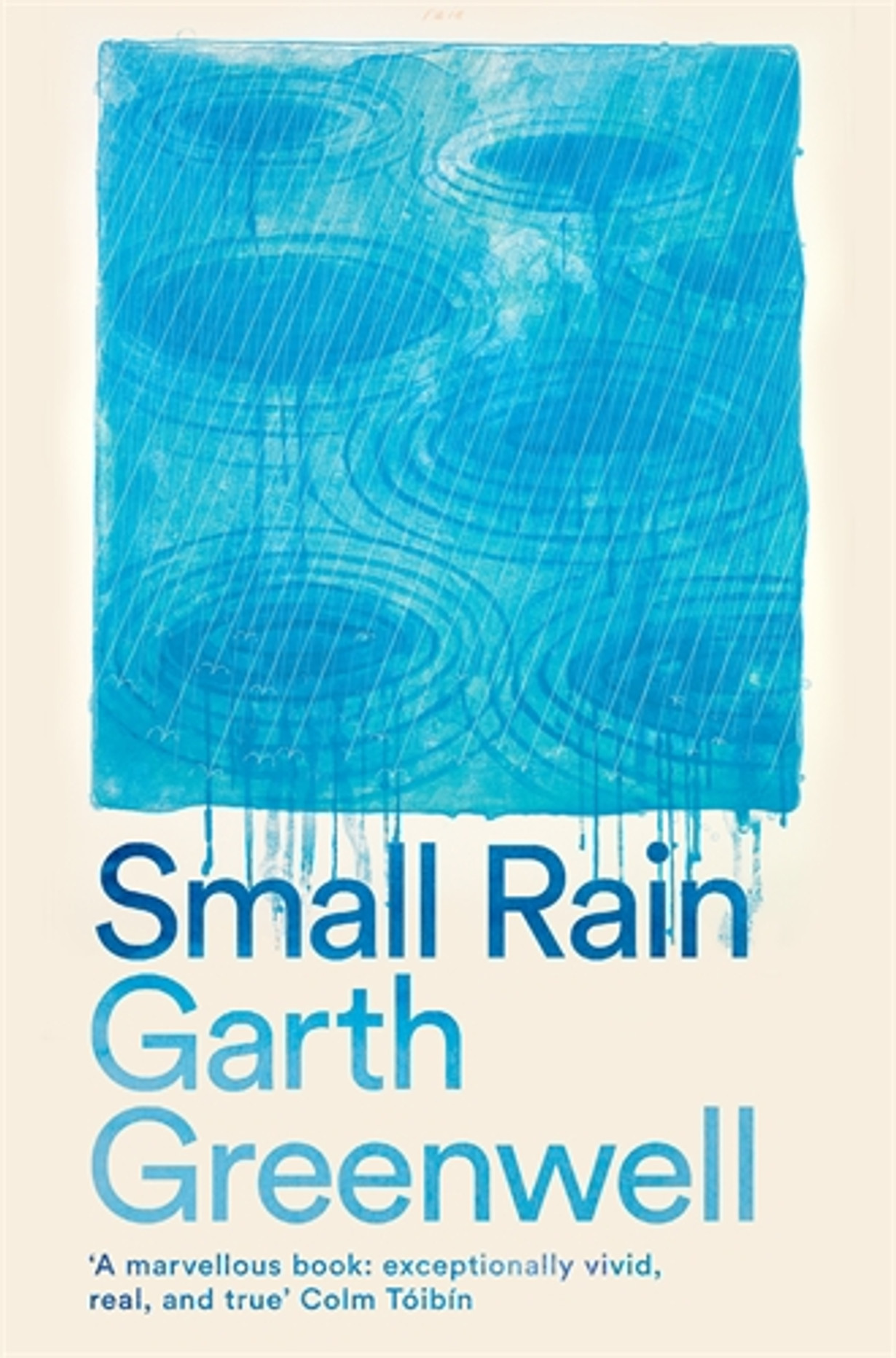 Small Rain (Paperback)