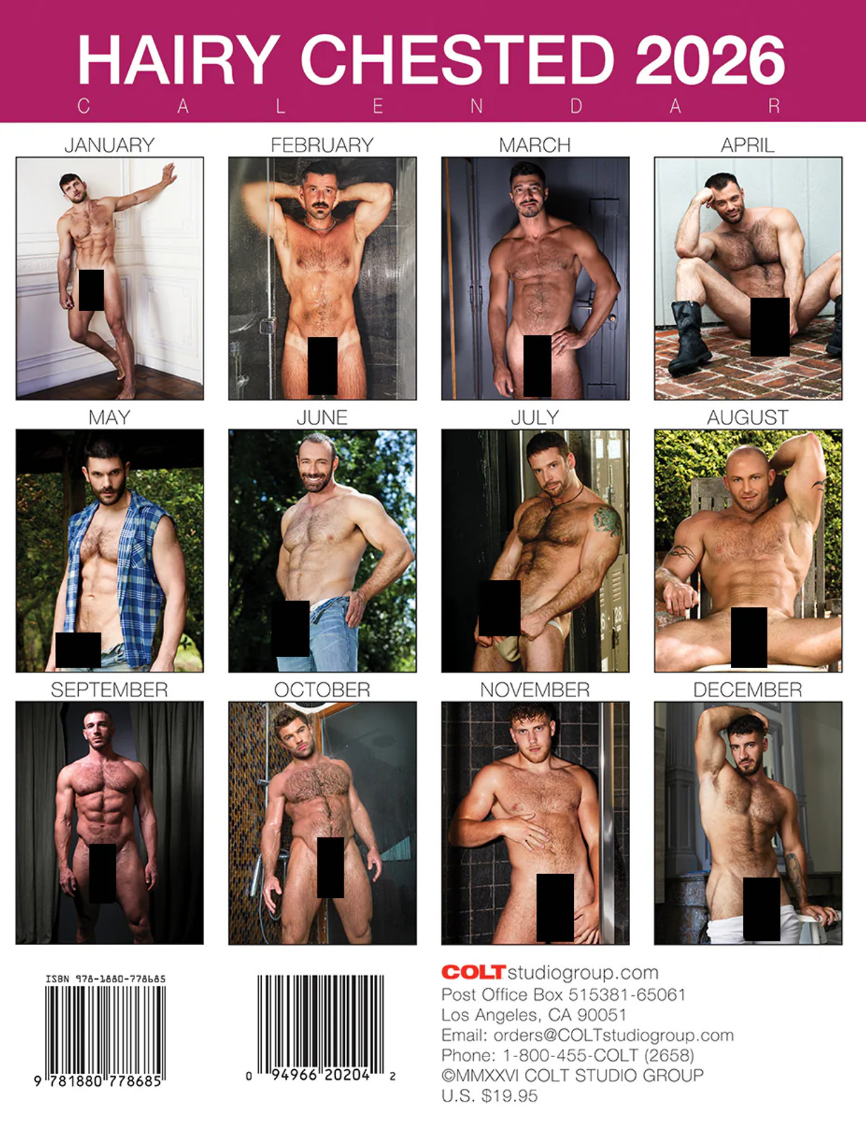 COLT Hairy Chested 2026 Calendar COLT Hairy Chested 2026 Calendar