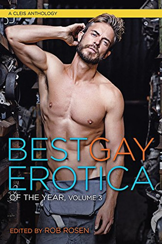 Best Gay Erotica of the Year Volume 3 