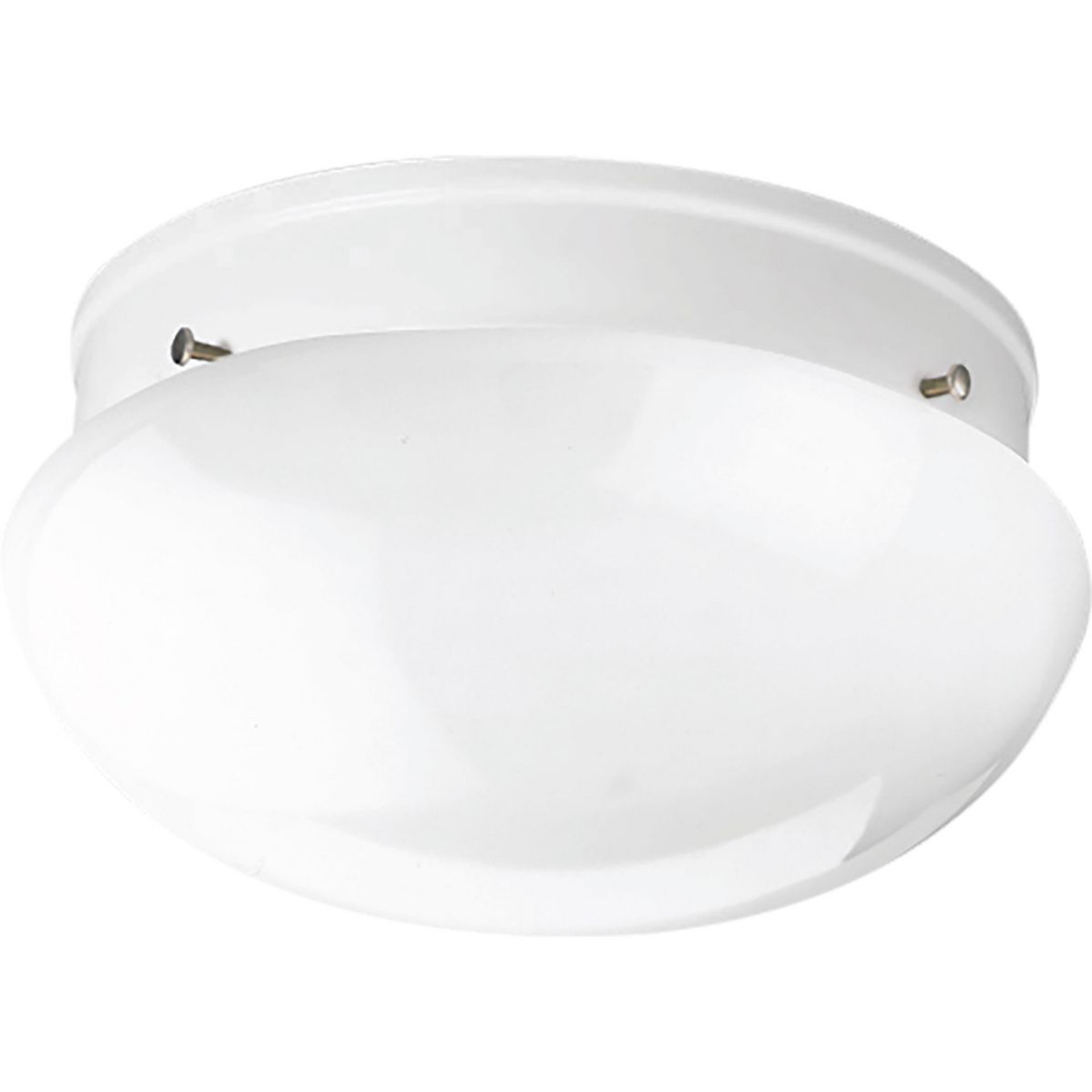 Progress Lighting Outdoor Light - Tremont Collection One-Light Stainless Steel and Clear Seeded Glass Farmhouse Style Ceiling Light - Model P550094-135