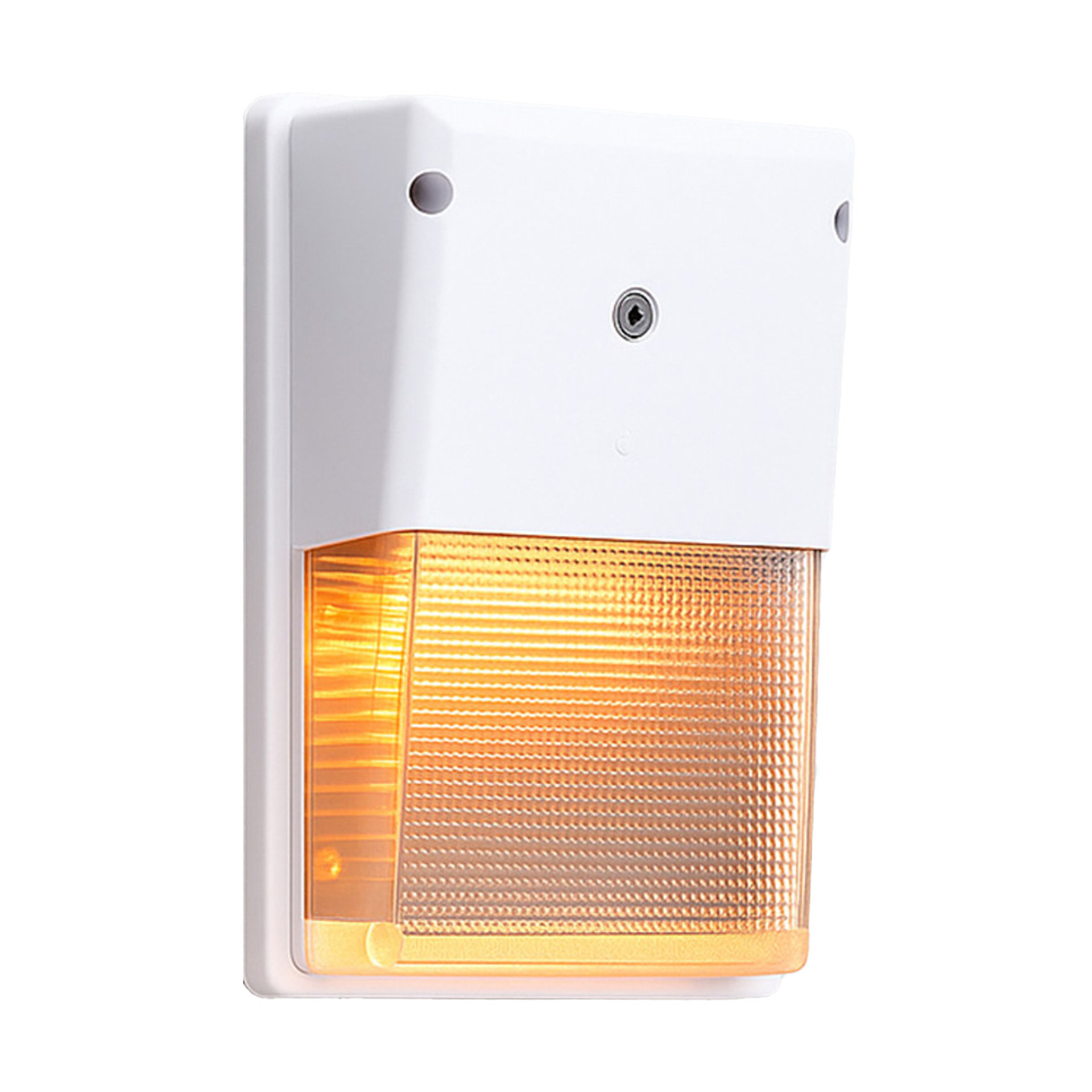LED turtle friendly wallpack, white finish, full cutoff design, clean white background