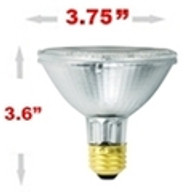 60 Watt Halogen Par30