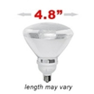 PAR 38 Outdoor Floodlight