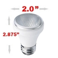 60 Watt Halogen Par16