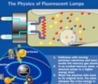 How Fluorescent Bulbs Work