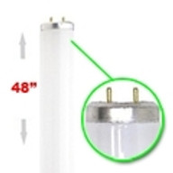 F34T12 (48 In.) 34 Watts