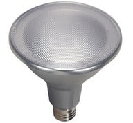 LED Wet Location Par 38 Flood Light