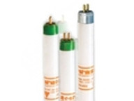 T5 Safety-Coated Fluorescent (Phillips)