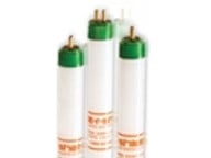 T12 HO/R Refrigeration