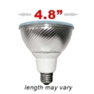 Colored CFL Flood Bulbs