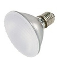 Halogen Par30 Frosted