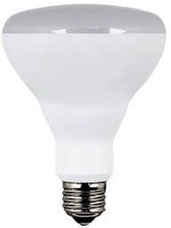 LED BR30 Flood Bulbs