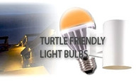 Turtle Friendly Lights