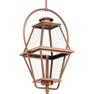 Progress Lighting Outdoor Light - Merit Collection One-Light Wall Lantern - Model P6002-31