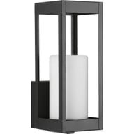 Progress Lighting Outdoor Light - Patewood Collection One-Light Small Wall Lantern - Model P560039-031
