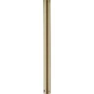 Progress Lighting Ceiling Fans Light - AirPro Collection 18 In. Ceiling Fan Downrod in Vintage Brass - Model P2604-163