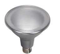 Wet rated PAR30 LED bulb, 12.5W, 5000K daylight, 40° beam, 1000 lumens, dimmable, E26 base, studio image