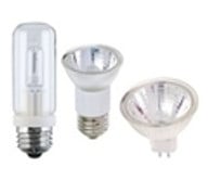 Halogen Light Bulbs