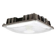 LED Ceiling / Canopy Lighting