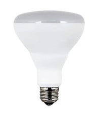 LED Flood and Spot Bulbs