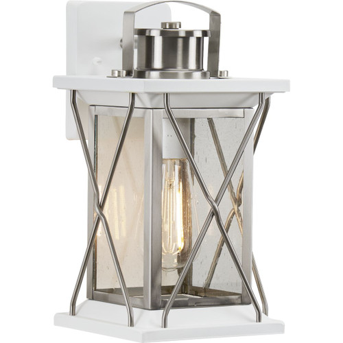 Progress Lighting Outdoor Light - Barlowe Collection Stainless Steel One-Light Small Wall Lantern - Model P560156-135