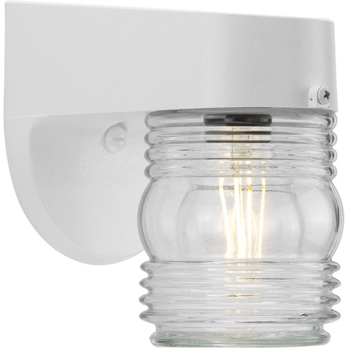 Progress Lighting Outdoor Light - Non-Metallic Incandescent One-Light Outdoor Wall Lantern - Model P5612-30