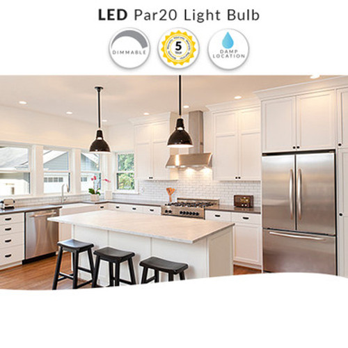 LED PAR20 Bulbs - Choose Your Options - Special Order