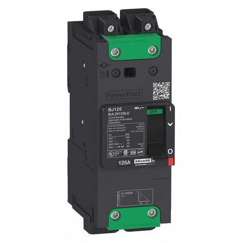 SQUARE D Molded Case Circuit Breaker, BJL Series 110A, 2 Pole, 690V AC Model BJL26110LU