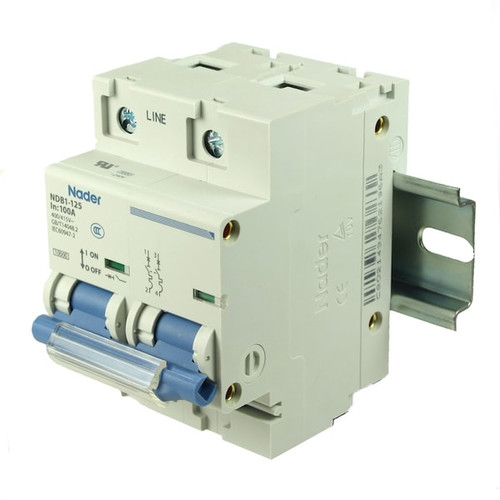 ASI 2 Pole, 100A, 480V AC, 60V DC, Trip Curve: C, DIN Rail Mount-Miniature Circuit Breaker, 36mm Width Model NDB1-125C100-2